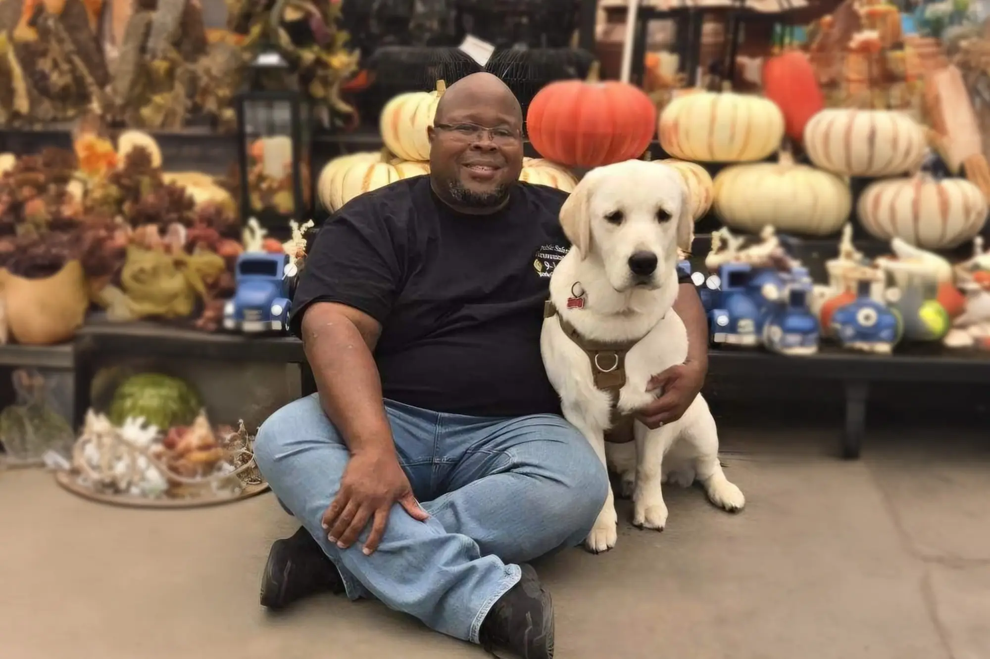 goldadors-of-york_goldador-retriever-posing-service-dog-with-owner-in-public-shopping-space-front-view