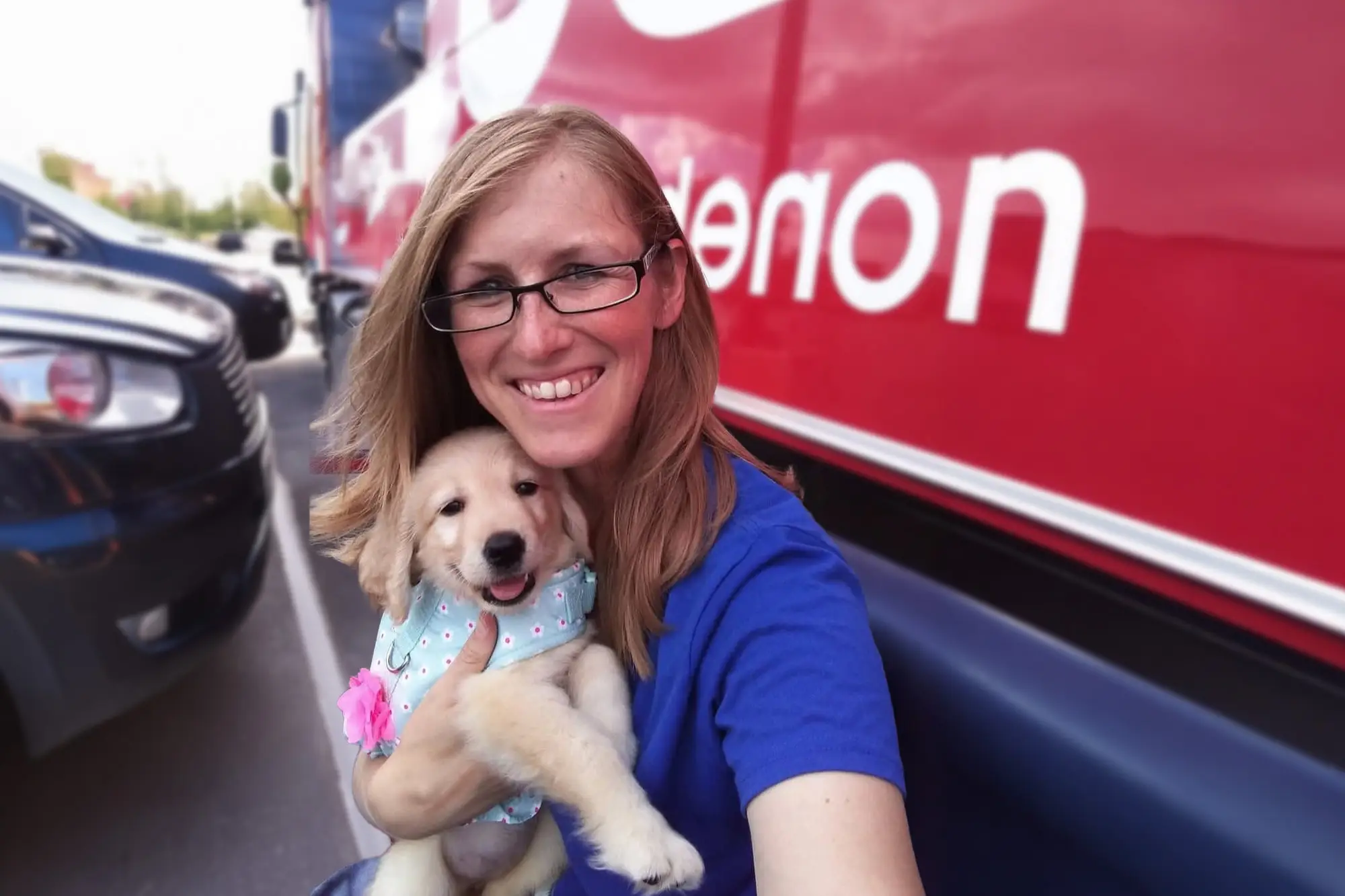 goldadors-of-york_goldador-retriever-puppy-with-trainer-service-dog-training-in-public-shopping-space-front-view